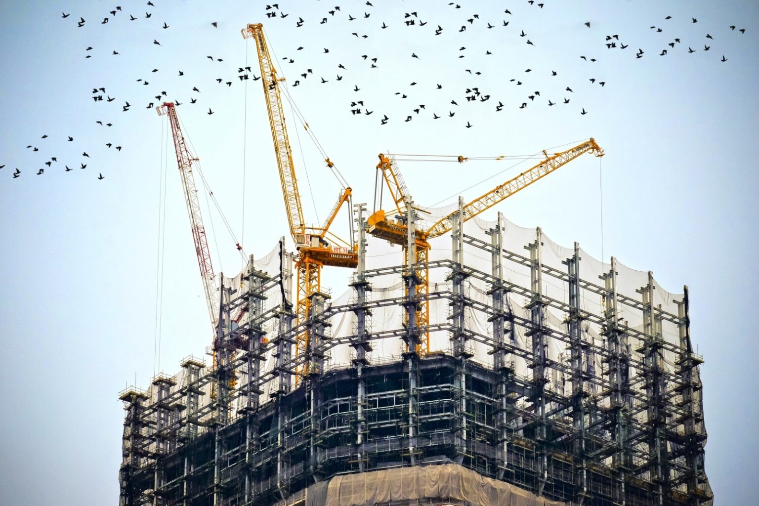 Government Project